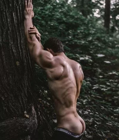 In the woods