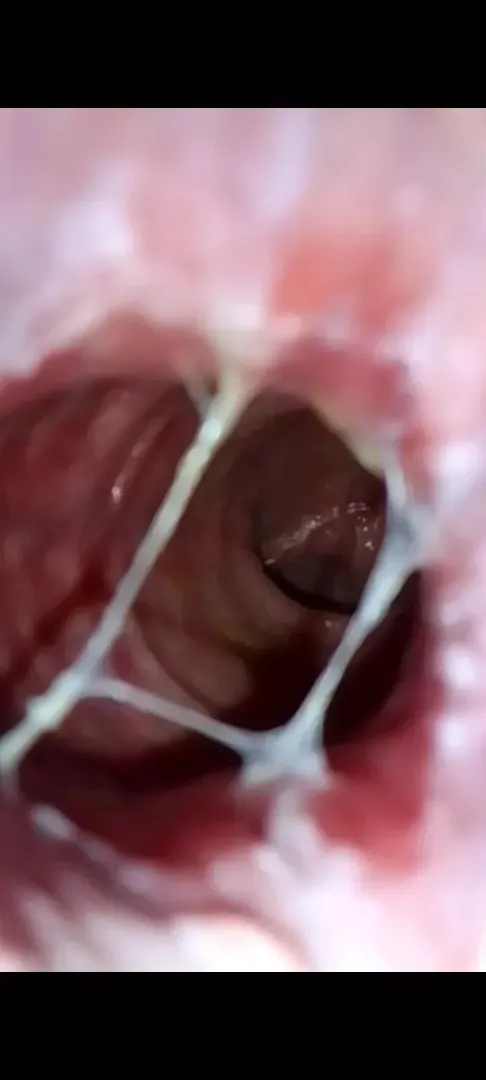 inside my ass