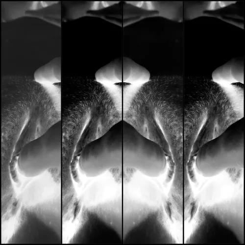 Inside Out [OC]