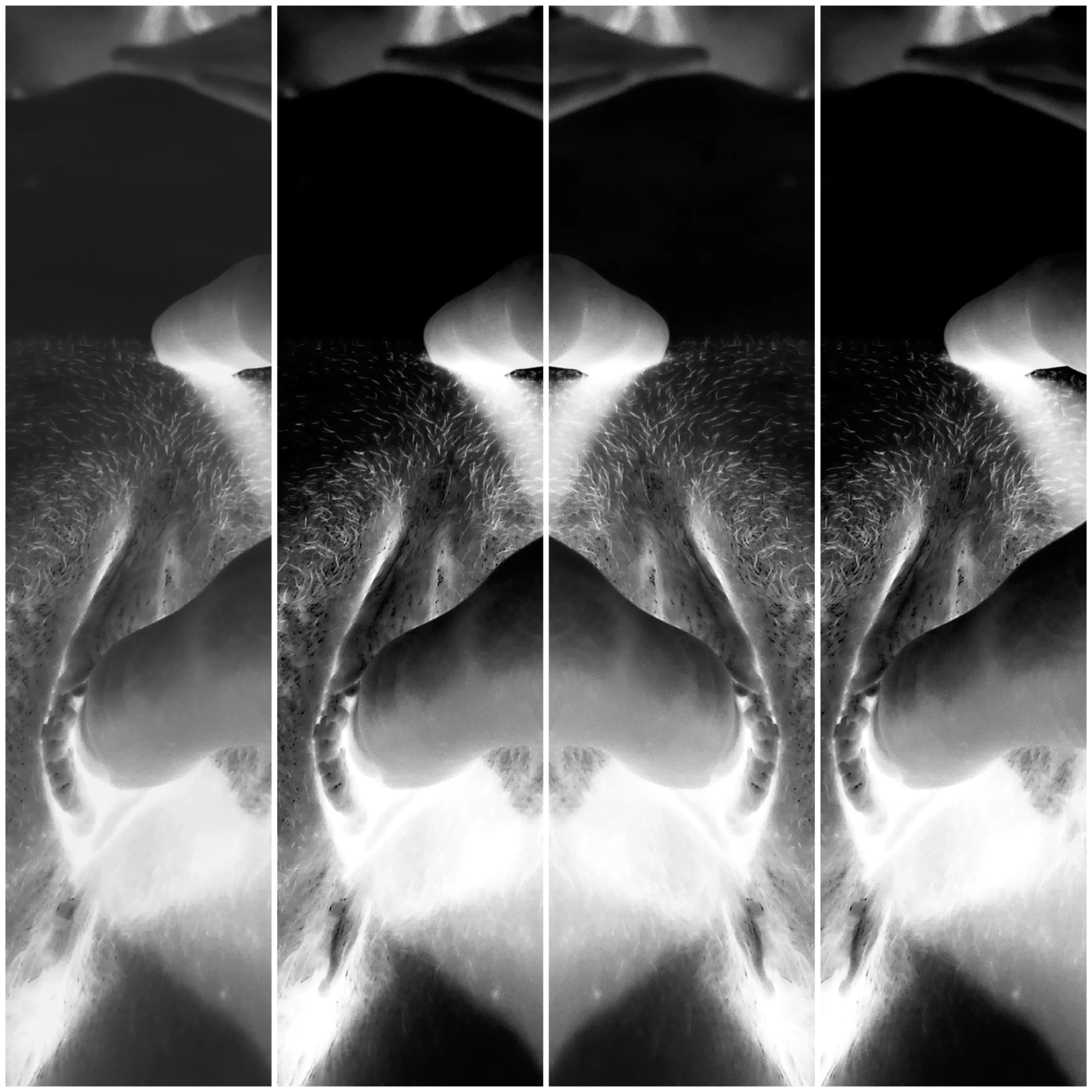 Inside Out [OC]