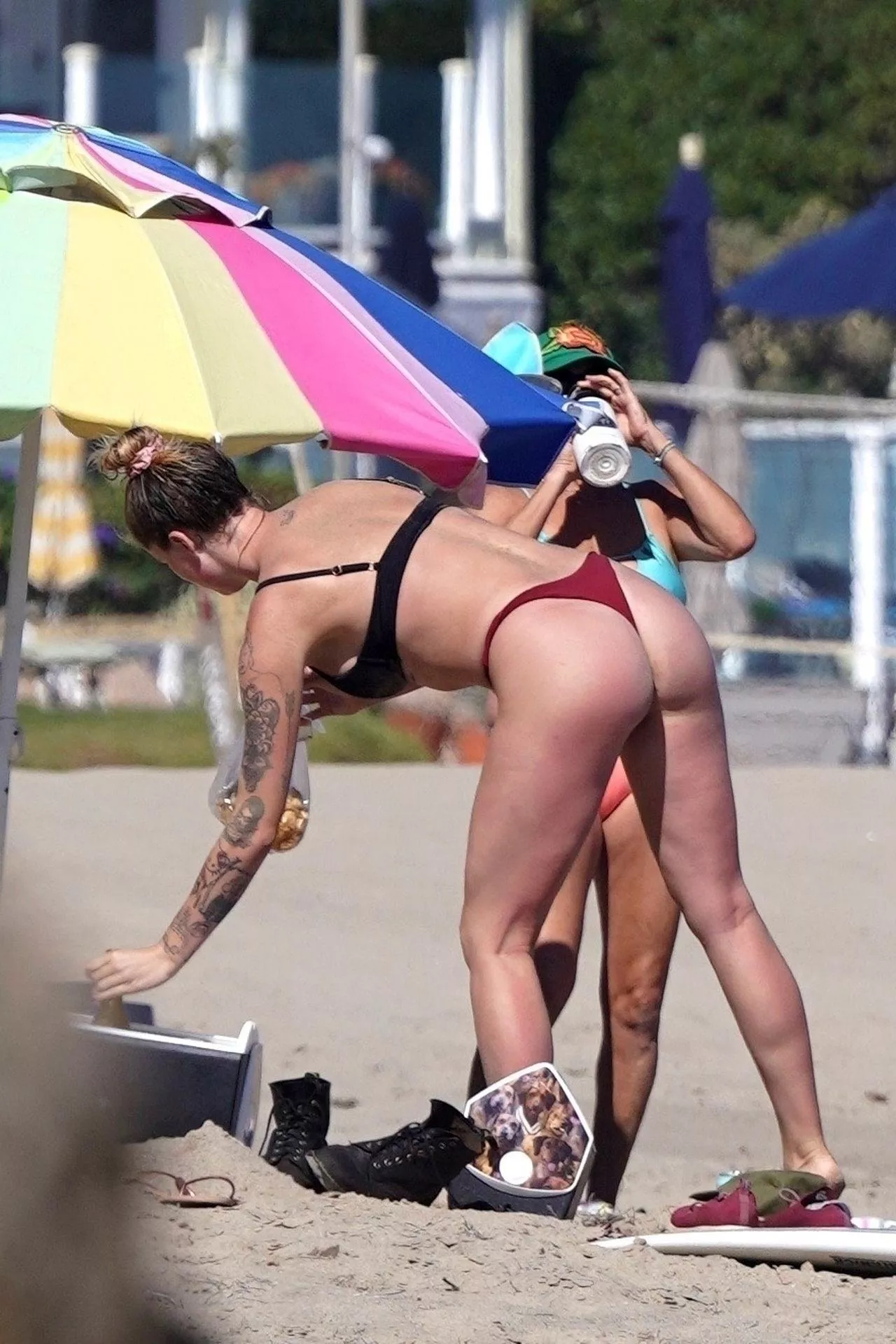 Ireland Baldwin