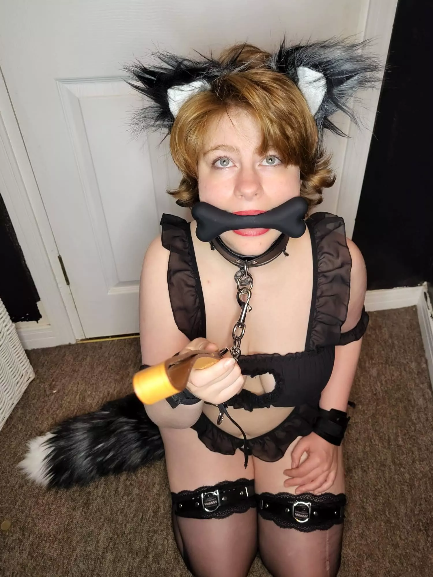 Is anyone looking [f]or a puppy to adopt?