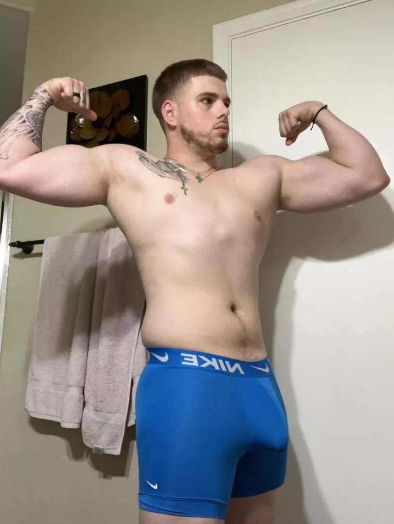 Is my Italian bulge big enough for you?
