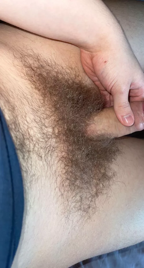 Is this a good bush?