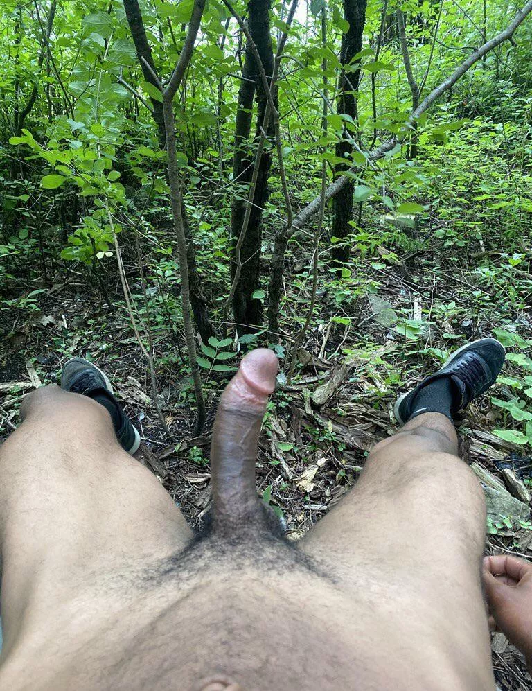 Is this cruising?