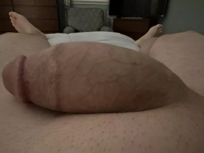 Isn’t he so soft, thick and cute?