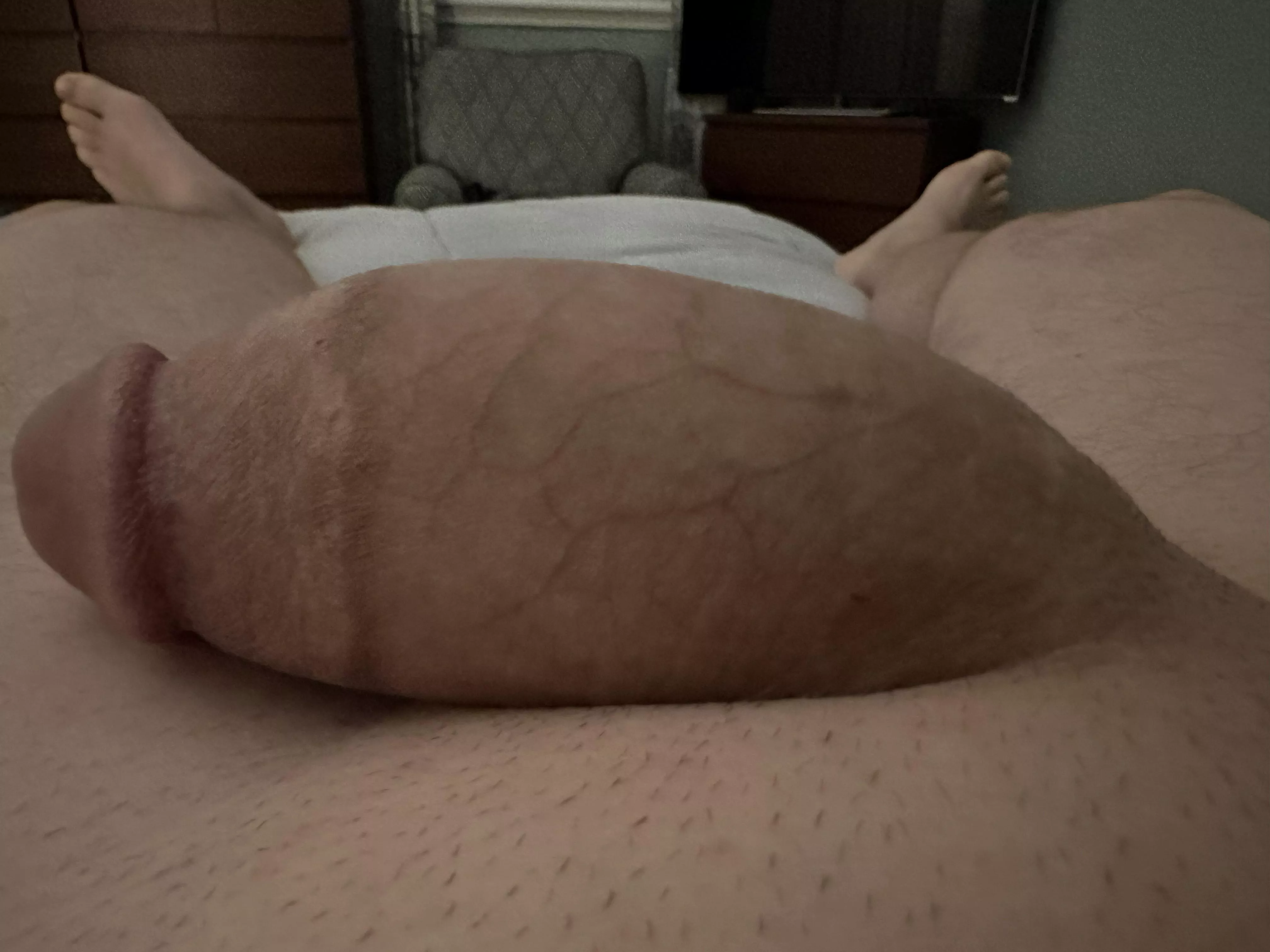 Isn’t he so soft, thick and cute?