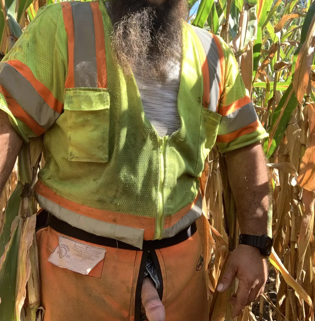 It’s corn!