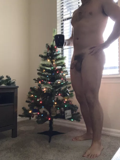 It’s Friday, going to have the tree lit for more than the evening. Happy holidays.