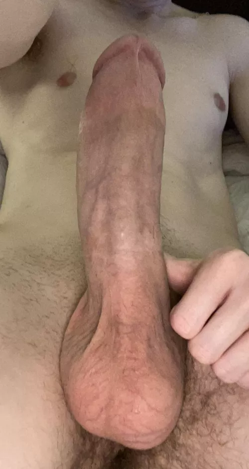 It’s like a tree trunk