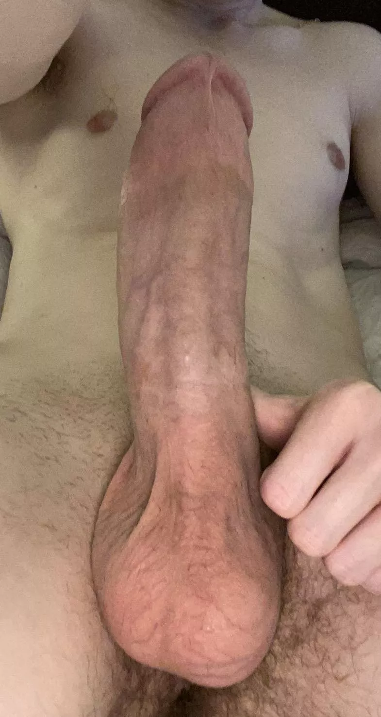 It’s like a tree trunk