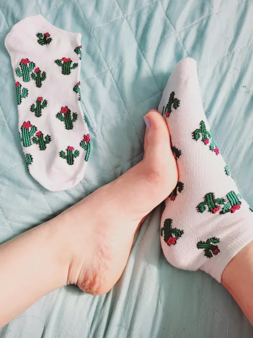 It's the girl with the cactus socks again (OC)