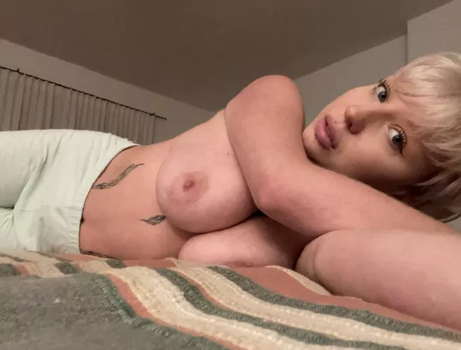 It's time to Shake it