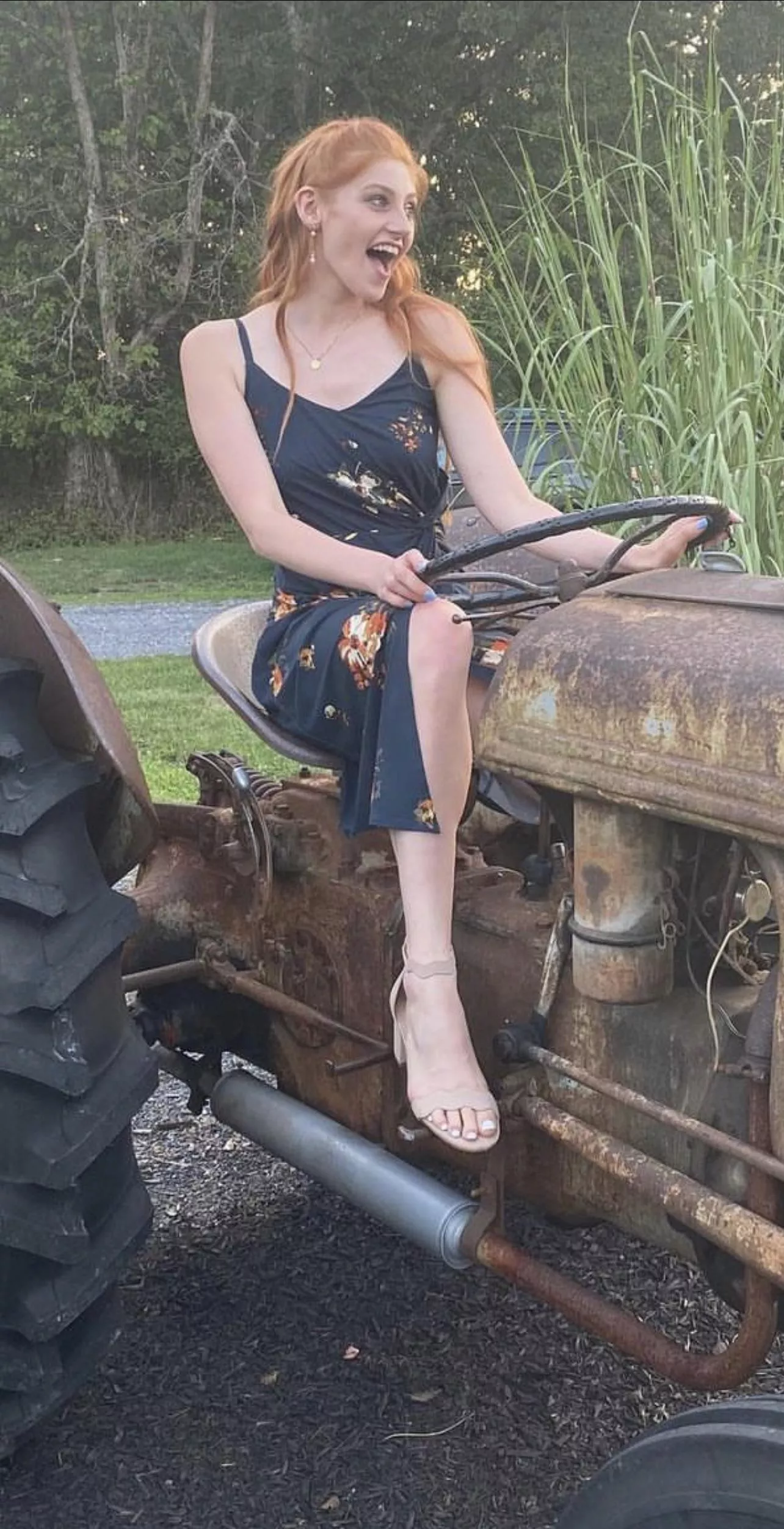 IUTR