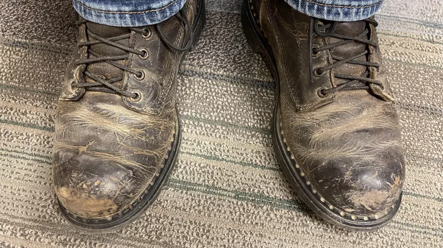 I’ve abused these redwings for years. Are they restorable?