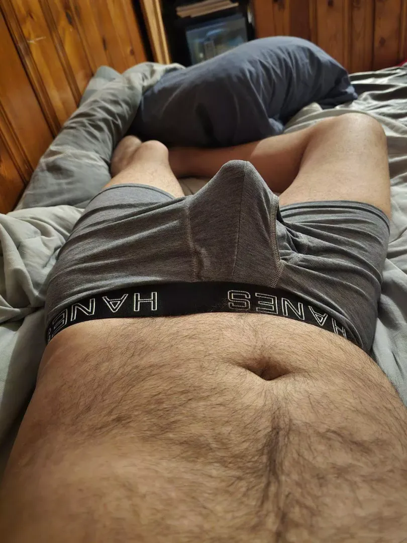 I've positioned my morning wood perfectly 