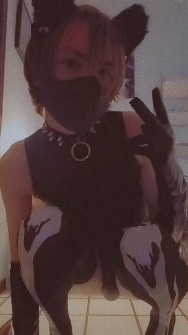 I've returned to stomp on you harder than ever >:3