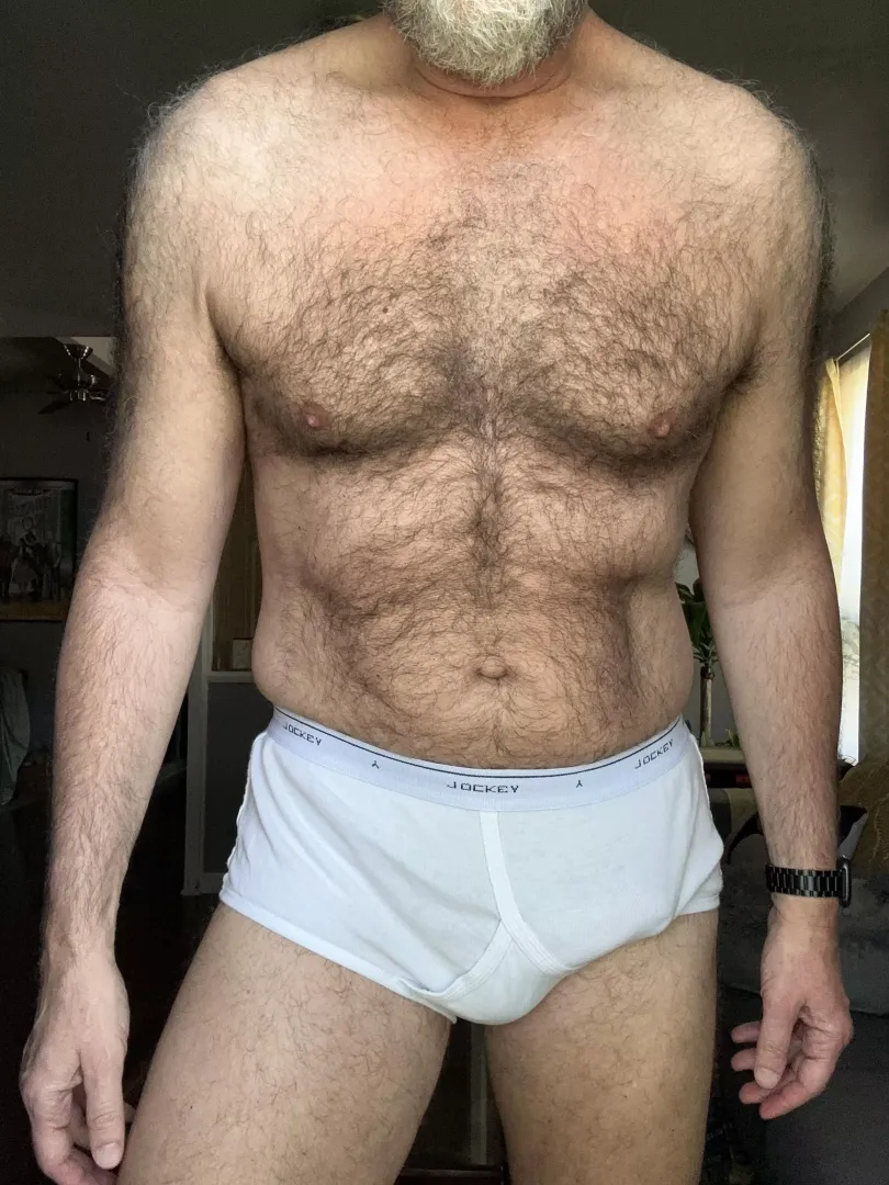 Jockey bear