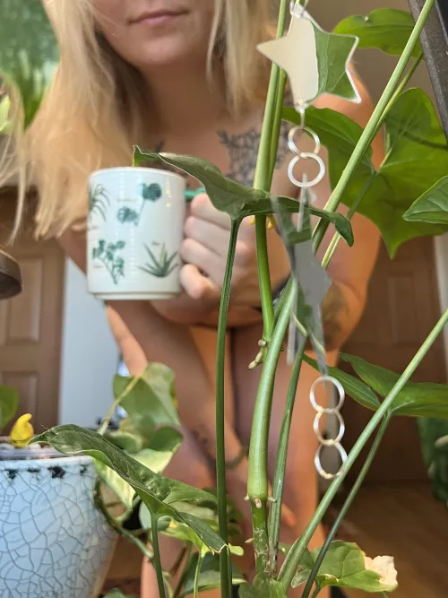 Join me for a naked cup in the plant room?