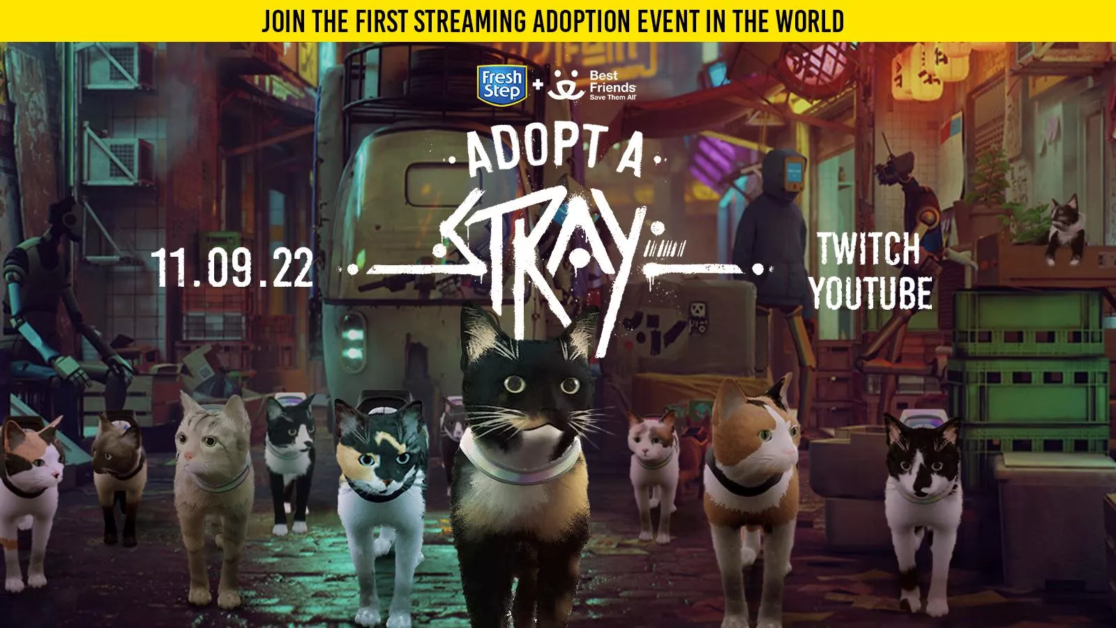 Join the first streaming adoption event in the world! ADOPT A STRAY LIVE NOW
