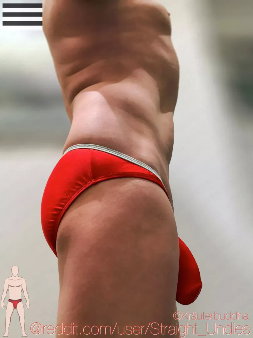 J.S. Sock It Brief