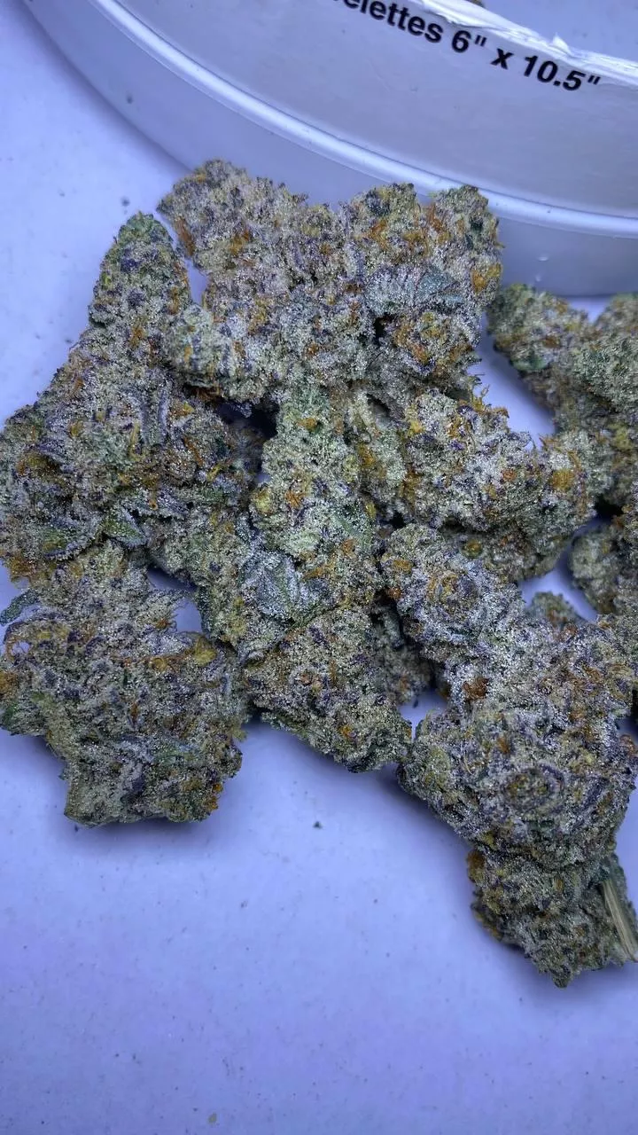 jungle pie 