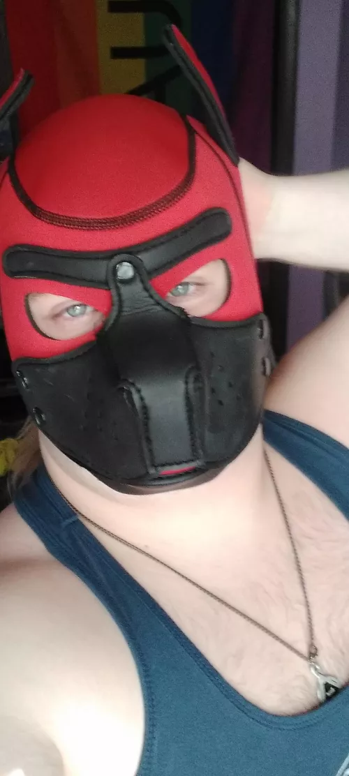 Just a beefy pup!