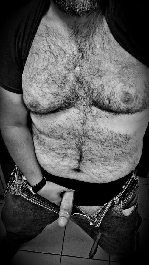 Just a bi bear hanging out at work.