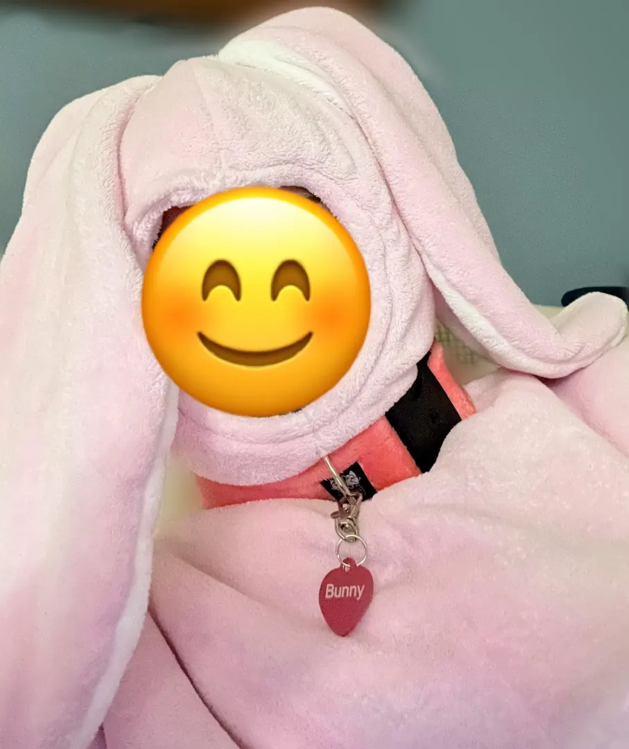 Just a cute trapped Pink Bunny