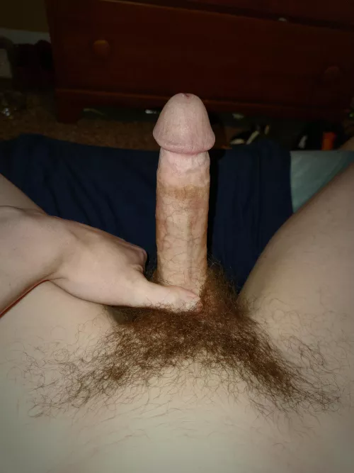Just a dick pic