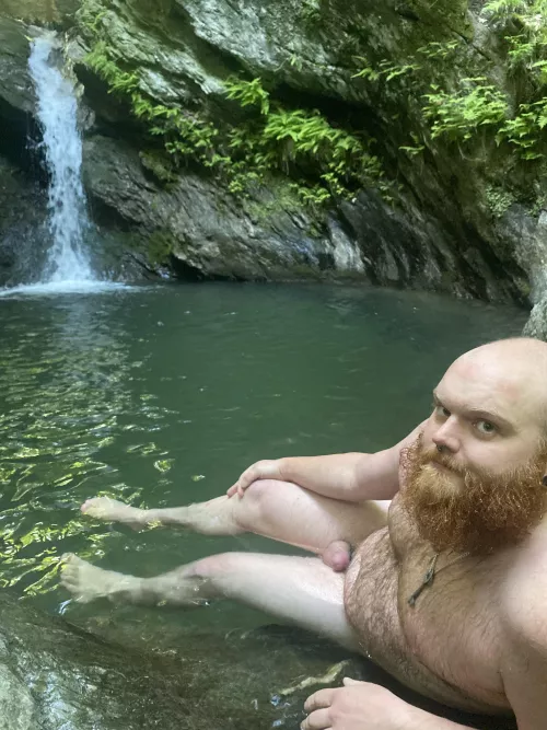 Just a furry ginger cub naked and alone in nature