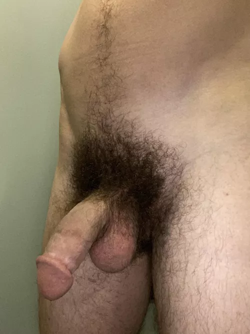 Just a hairy cock on a Tuesday morning, horny, and needing attention