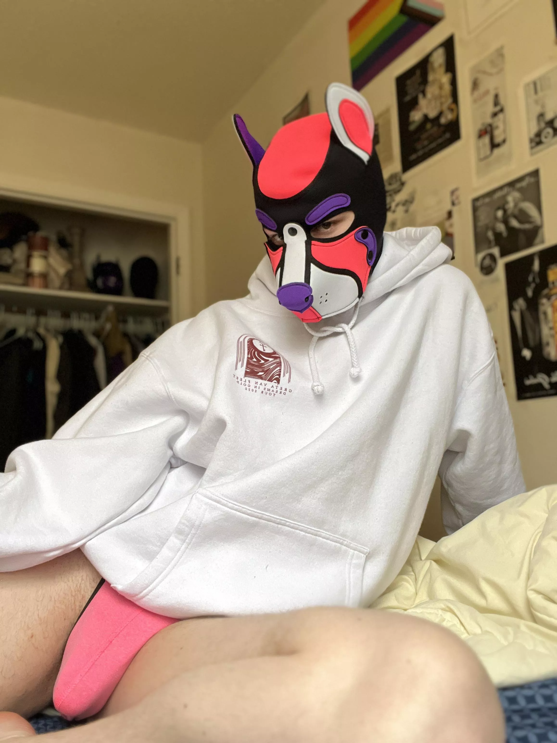 Just a pup with their new hood, waking up from a nap.