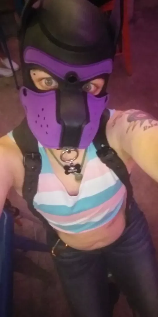 just a puppo (FTM)
