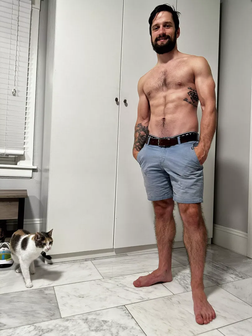 Just a wonderful cat here