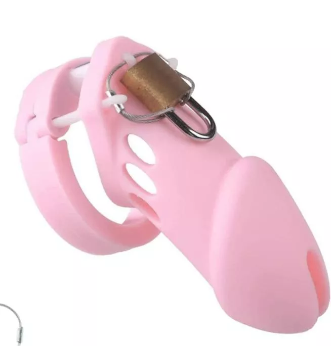 just bought my first cage any tips for a beginners