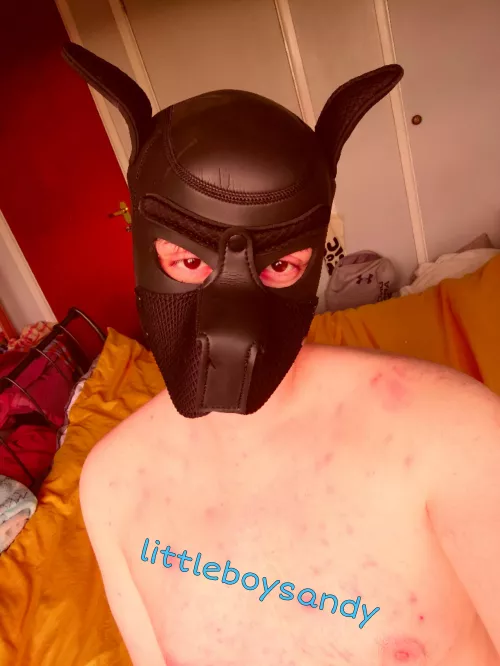 Just bought my first hood today :)