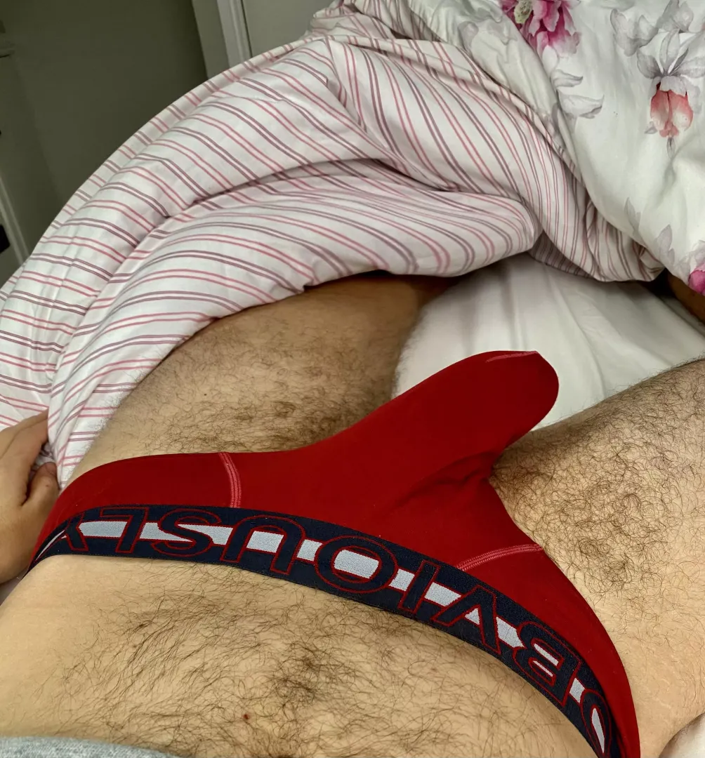 Just chilling in bed