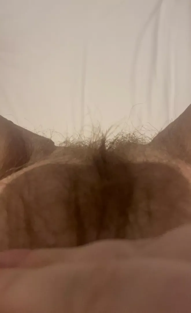Just fingered my wet hairy pussy 💦