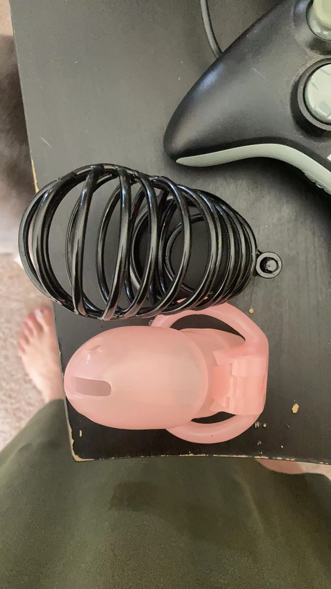 Just found my cages which one should I put on