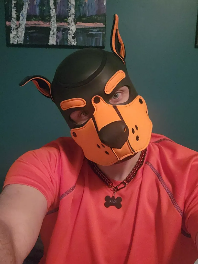 Just got my first pup tag and went to my first pup event!! 