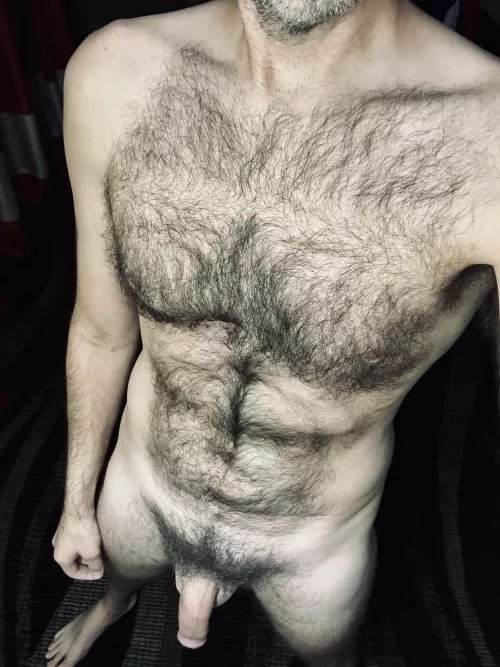 Just hairy ol' me and my hairy ol' dick...