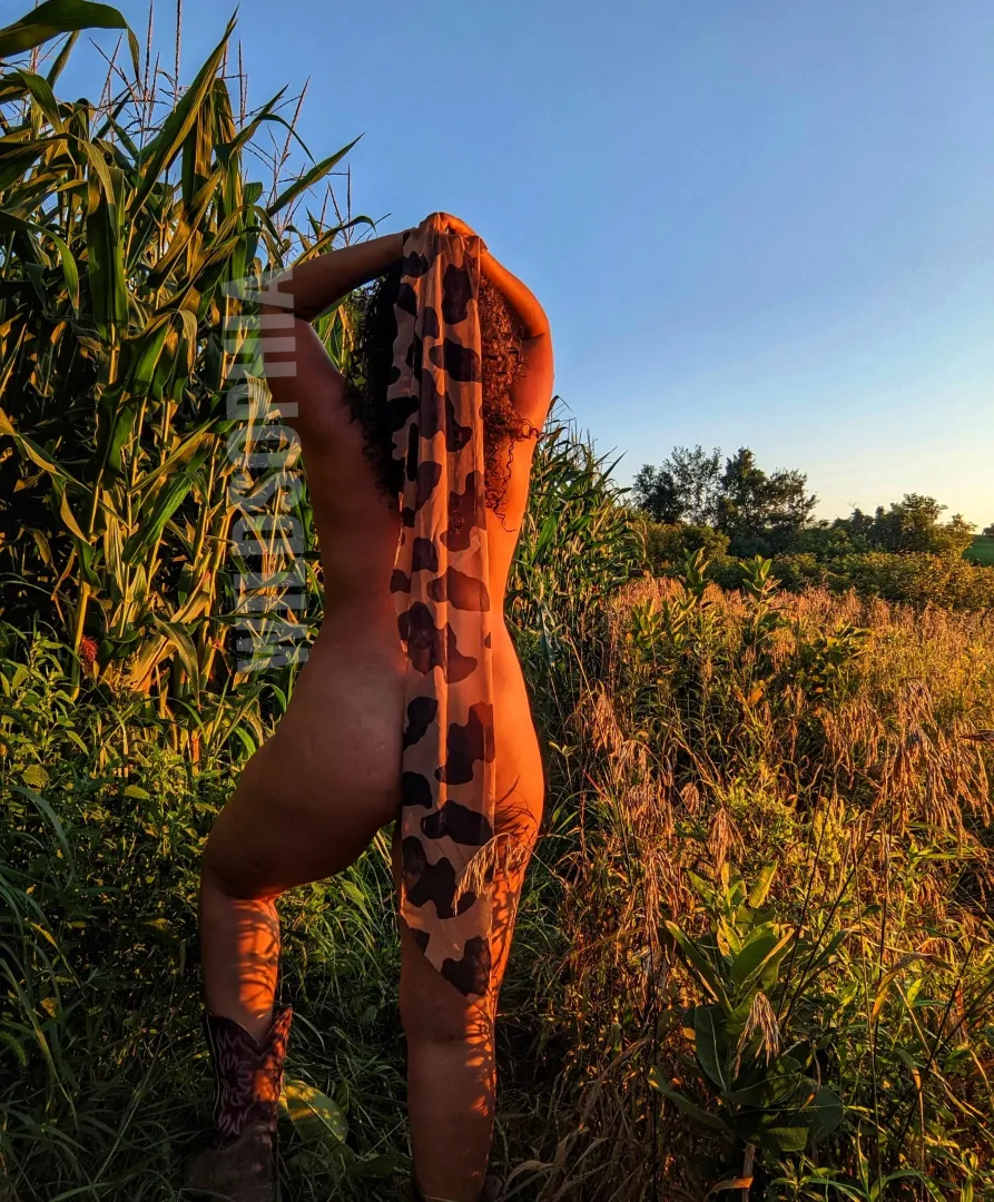 Just in the field