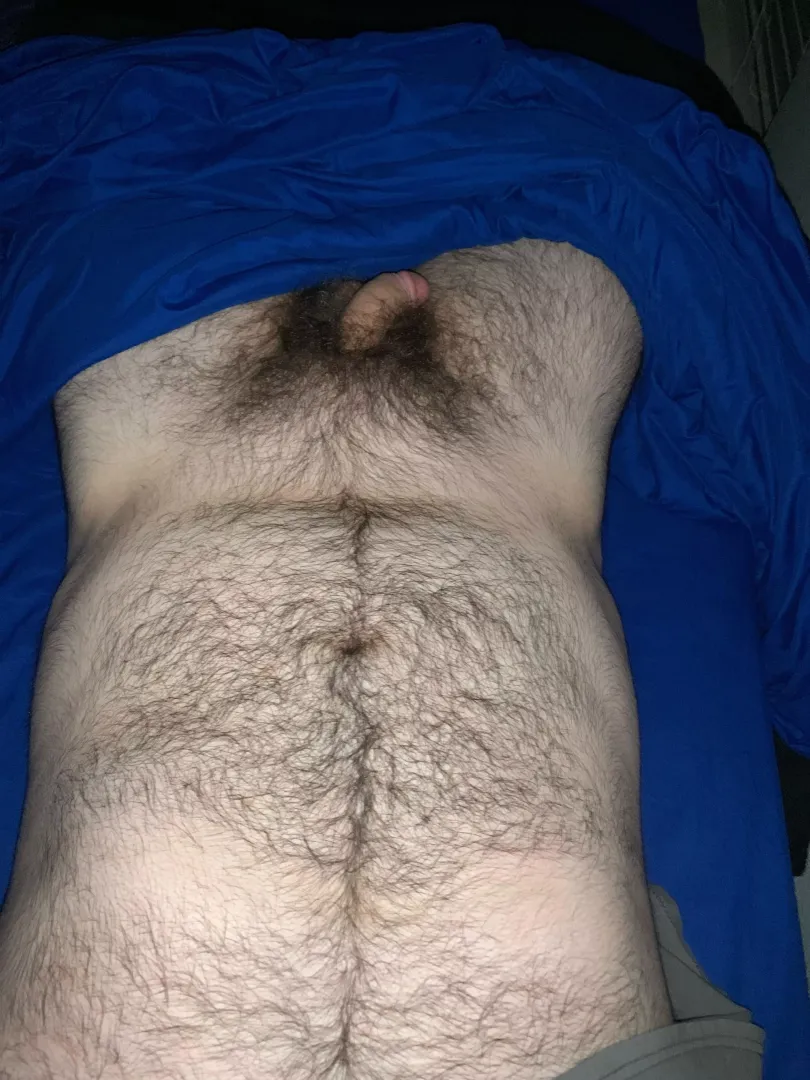 Just looking to trade and chat with bears big or small ;)