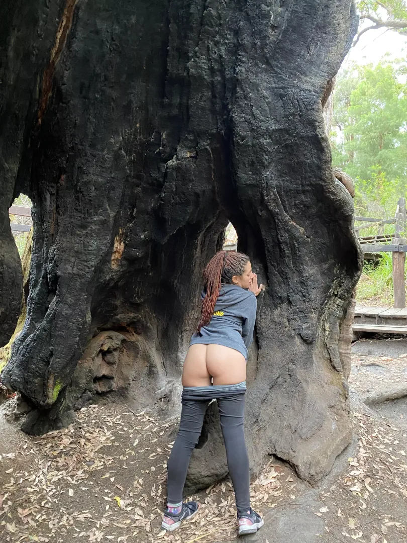 Just masturbating during a hike😈(f)
