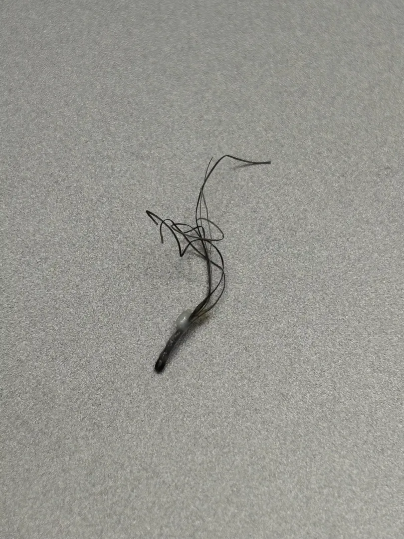 Just pulled this from my beard