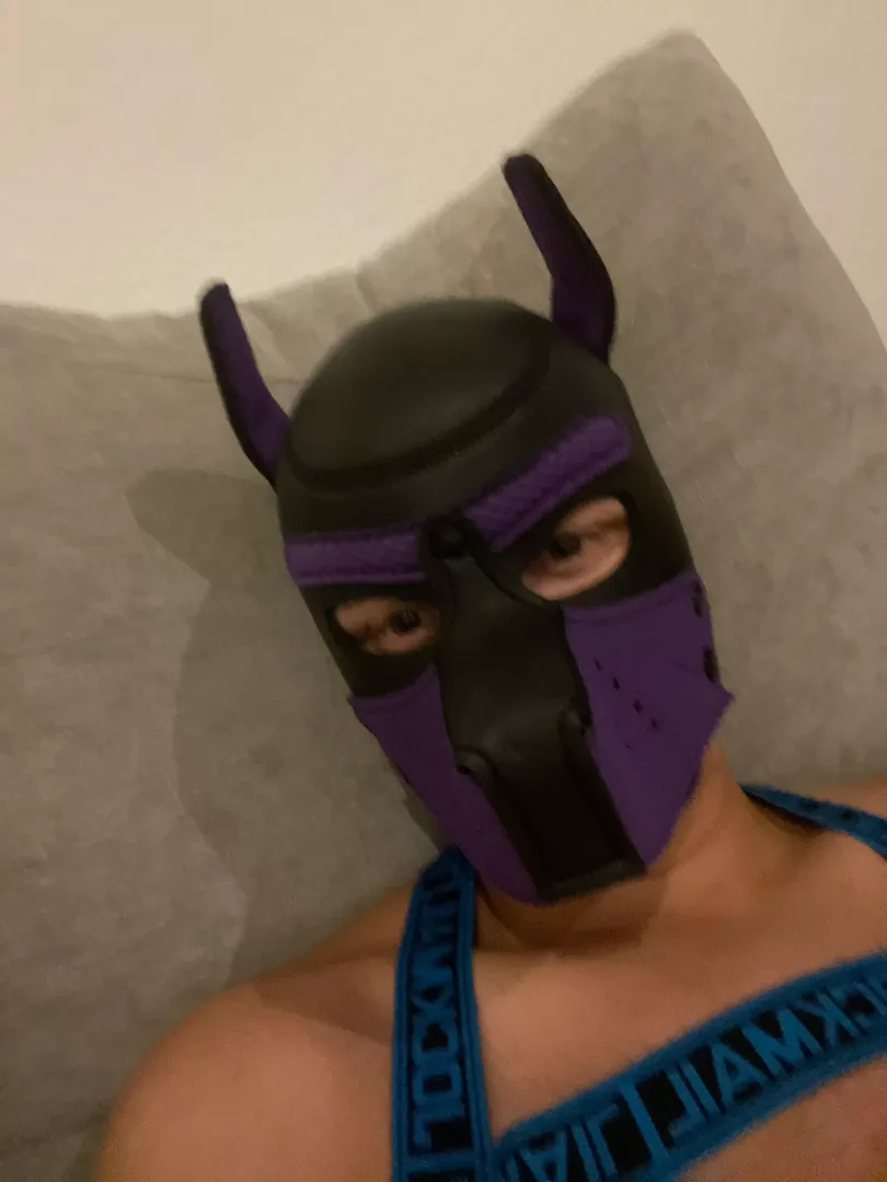 Just relaxing and Netflix today