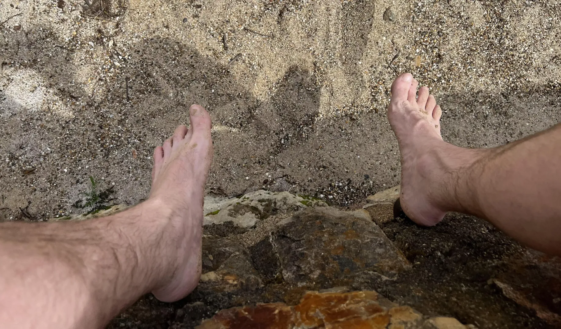 Just sitting on the wall by the beach