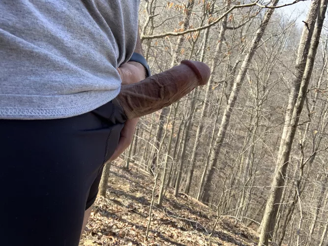 Just some cock while out hunting