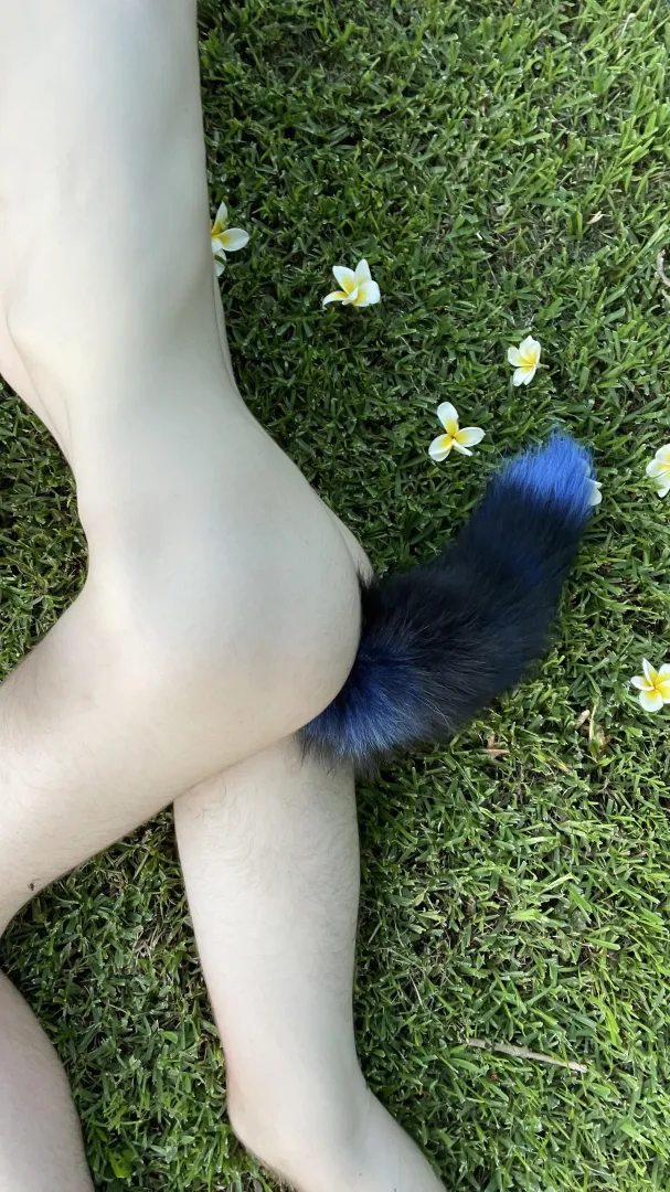 Just some flower and my tail